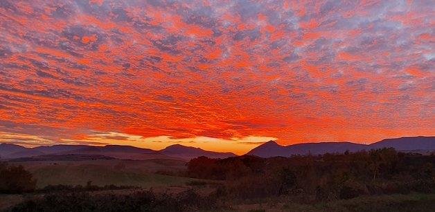 imagen Diálogos. Desde el evang 14 Nov